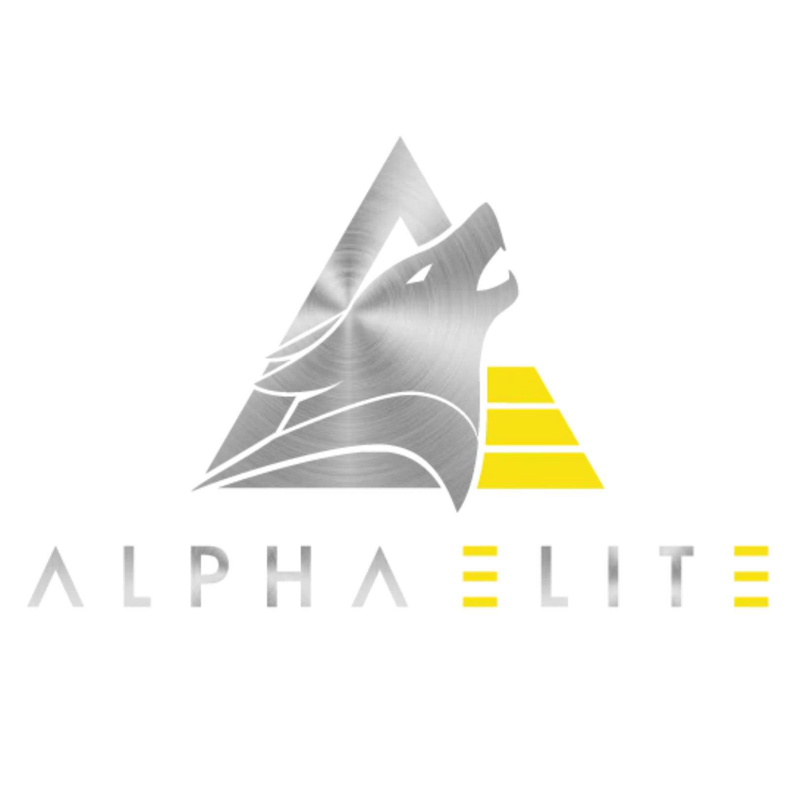 Alpha gym
